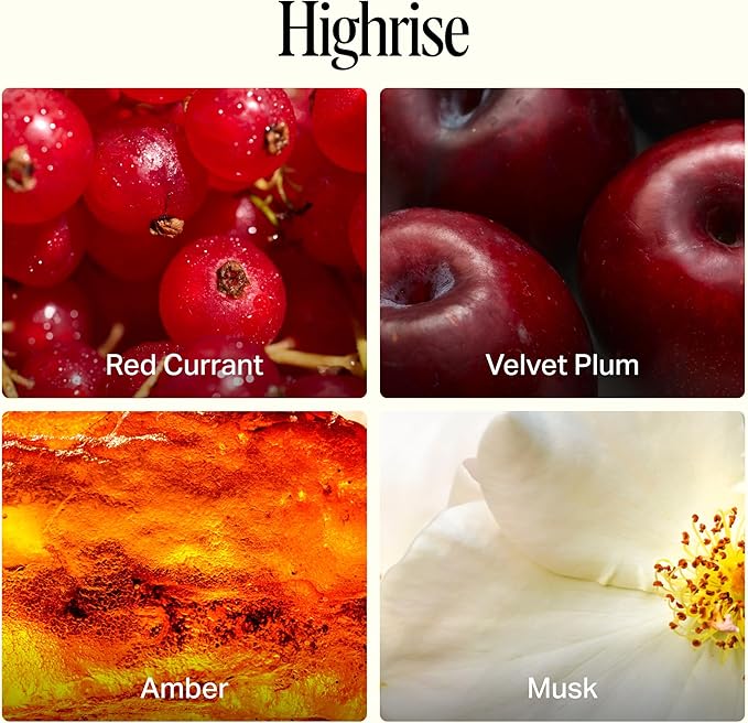 Preston Lane Signature Home Set – All Purpose Cleaner, Dish Soap, Hand Wash, Hand Cream & Scented Candle | Plant-Powered Cleaning & Care Essentials with Fine Italian Fragrance, Highrise