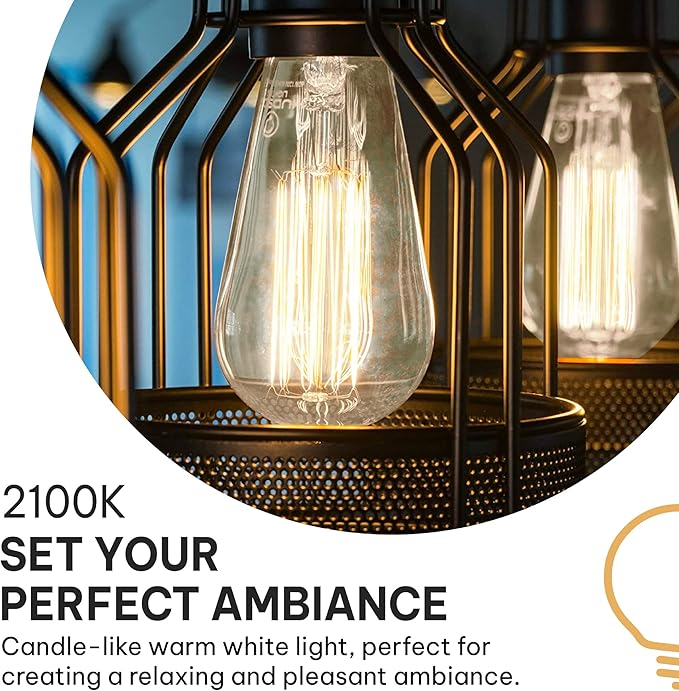 Hudson Bulb Co. Vintage Incandescent Edison Light Bulbs, 60W, E26/E27 Base, 2100K Dimmable Decorative Lights, ST58 Style Warm Glow, Antique Squirrel Filament for Outdoor and Indoor Use - 6 Pack