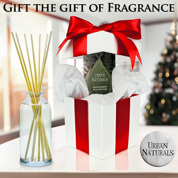 Urban Naturals Sugar Cookies Reed Diffuser Oil Set | Freshly-Baked, Buttery Cookie with Ginger Vanilla Frosting | Great Kitchen Scent | Made in The USA