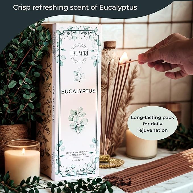 Eucalyptus Incense Sticks - Pack of 100 Insence-Sticks - Inciensos Aromaticos Made with Natural Essential Oil - Scented Insense Non Toxic Inscents