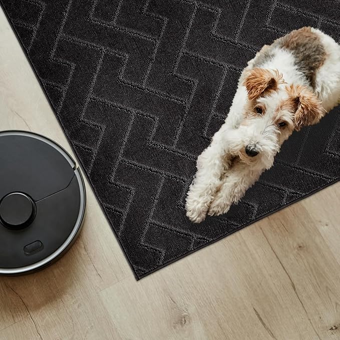 PURRUGS Easy Care Area Rug 6ft x 9ft, Non-Slip Machine Washable Entry Rug, Stain Resistant Accent Rug for Hallway, Bedroom, Living Room and Mudroom, Black