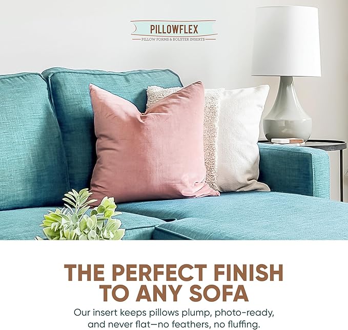 Pillowflex Synthetic Down Pillow Insert - 25x25 Euro Down Alternative, Ultra Soft Large Square European Throw Pillow, Bed Sham- 1 Decorative Form