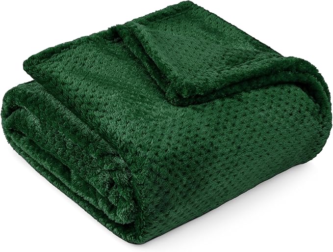PAVILIA Emerald Green Throw Blanket for Couch, Twin Bed, Soft Fleece Throws for Sofa Chair, Fuzzy Waffle Textured Blanket, Cozy Warm Lightweight All Season Blanket Throw, 60x80