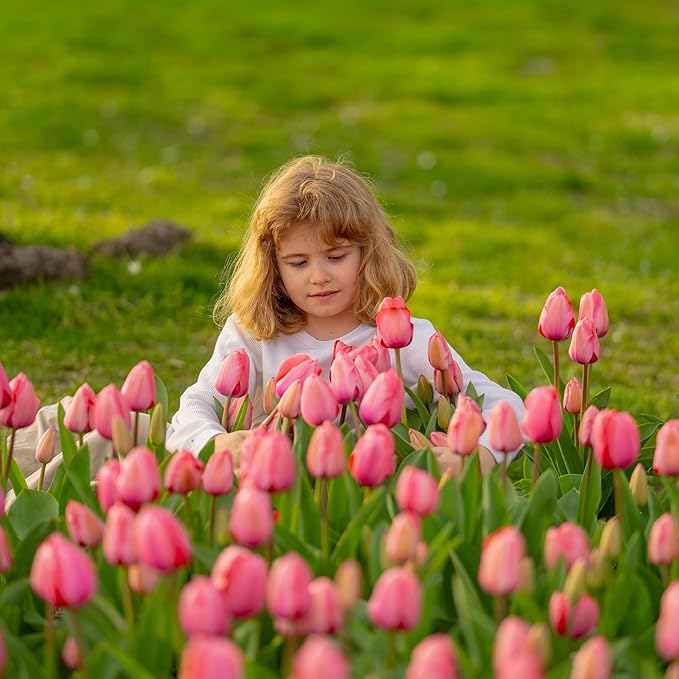 Sggvecsy 30 Pcs Fake Tulips Artificial Flowers Real Touch PU Faux Flowers Tulip Stems for Wedding Spring Bouquet Floral Arrangement Home Party Office Decorations for Mother's Day (Dark Pink)
