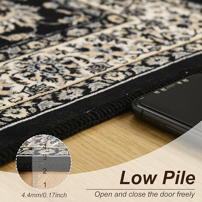 XWZO Entryway Area Rug 2x3ft — Soft Low Pile Door Floor Mat with Non-Slip Backing for Bedroom Bathroom Kitchen Laundry, Spill Resistant Washable Small Indoor Carpet for Doorway & Entrance, Black