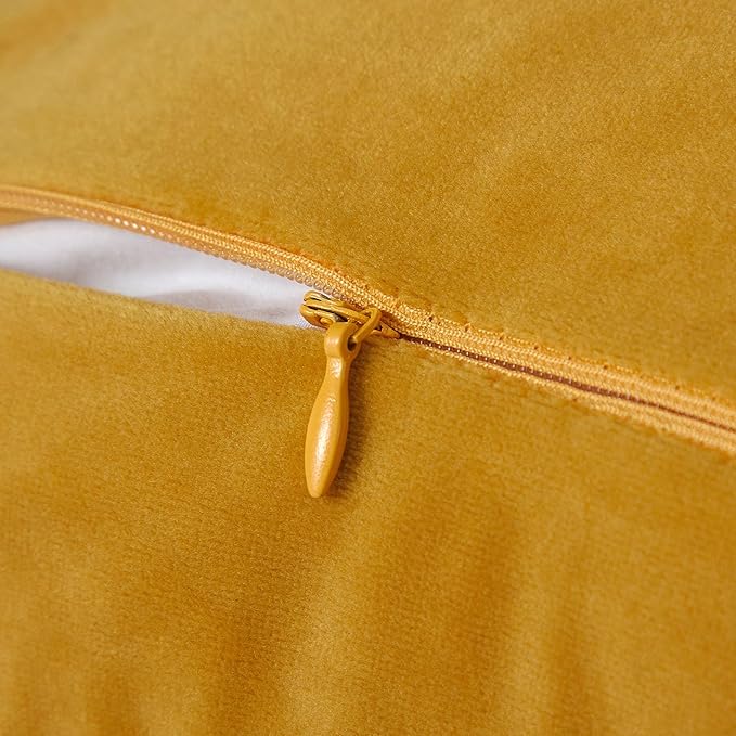 JUSPURBET Pack of 2 Gold Decorative Fringe Velvet Lumbar Throw Pillow Covers 12x20 for Home Decor Living Room Bedroom Car Boho Soft Cushion Cover with Hidden Zipper Machine Washable