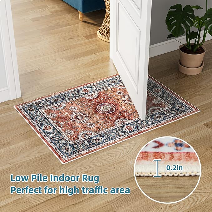Dripex Vintage Collection Washable Area Rug - 2x3 Door Mat Small Entryway Rug Distressed Non-Slip Low-Pile Floor Carpet for Indoor Front Entrance Kitchen Bathroom Living Room Bedroom