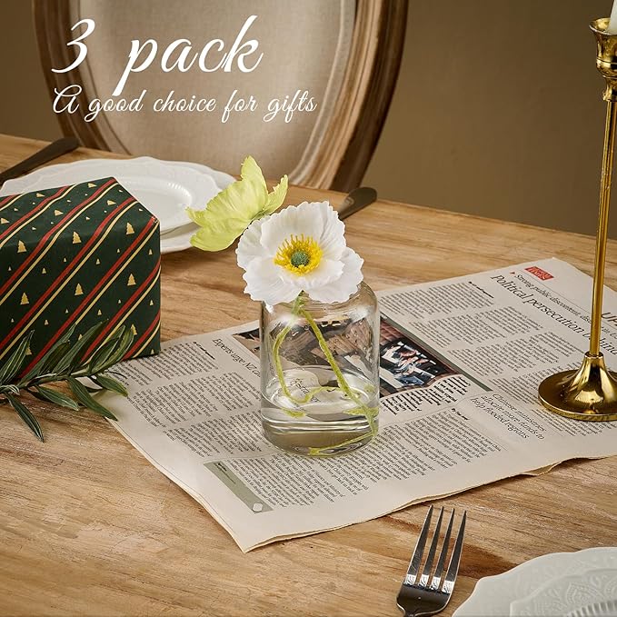 Glass Bud Vases Set of 3 Clear Flower Vase for Centerpieces Shelf, 3.9'' 4.9'' 6.7'' Modern Small Vases for Living Room Bedroom Office Home, Decor for Wedding House Warming Party