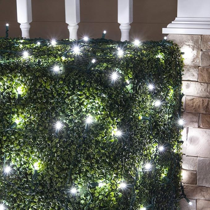 Cool White 5mm LED Christmas Net Lights on Green Wire