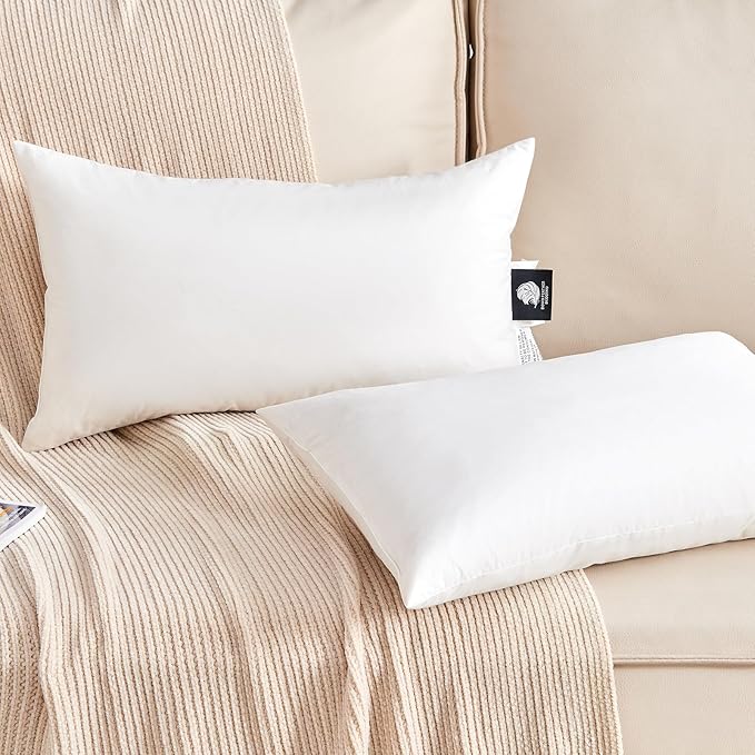 Organic Feather Down Lumbar Pillow Inserts (14x24 Inch, Set of 2) - 100% Cotton Shell, Filling of Feathers & Memory Foam, Rectangular Decorative Pillow Form Core for Couch, Sofa, and Bed