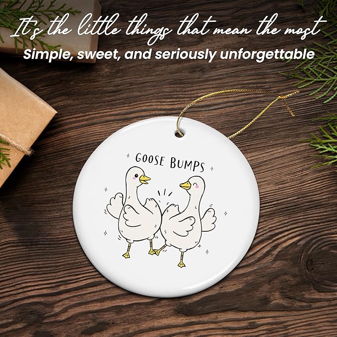 TEEZWONDER Silly Goose Ornament Christmas Decorations - Ceramic Animal Christmas Ornaments - Silly Goose Gifts for Women Friends, Funny Secret Santa Gifts for Coworker, White Elephant Gift Ideas