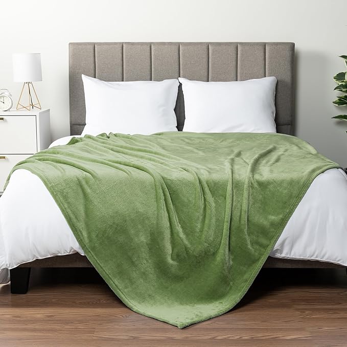 PAVILIA Sage Green Fleece Throw Blanket for Couch Twin Size, Light Olive Super Soft Fuzzy Flannel Throw for Sofa, Luxury Plush Microfiber Blanket Twin Bed, Home Decorative Velvet Gift Blanket, 60x80