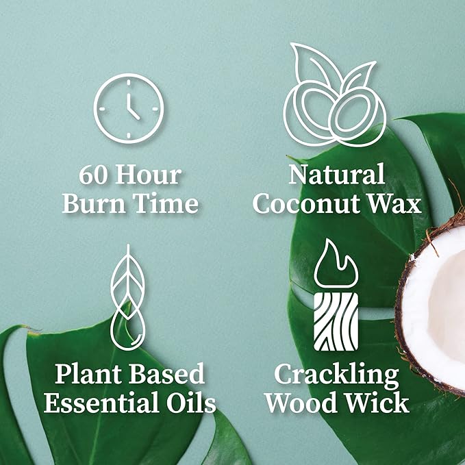 Hemlock Park Crackling Wood Wick Candle Handcrafted with Natural Coconut Wax (Standard 8 oz, Hinoki)