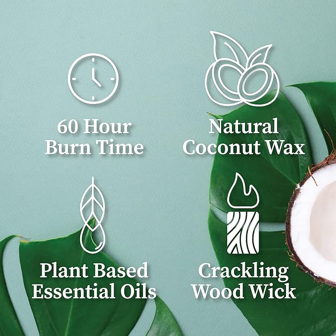 Hemlock Park Crackling Wood Wick Candle Handcrafted with Natural Coconut Wax (Standard 8 oz, Pomelo Citrus)