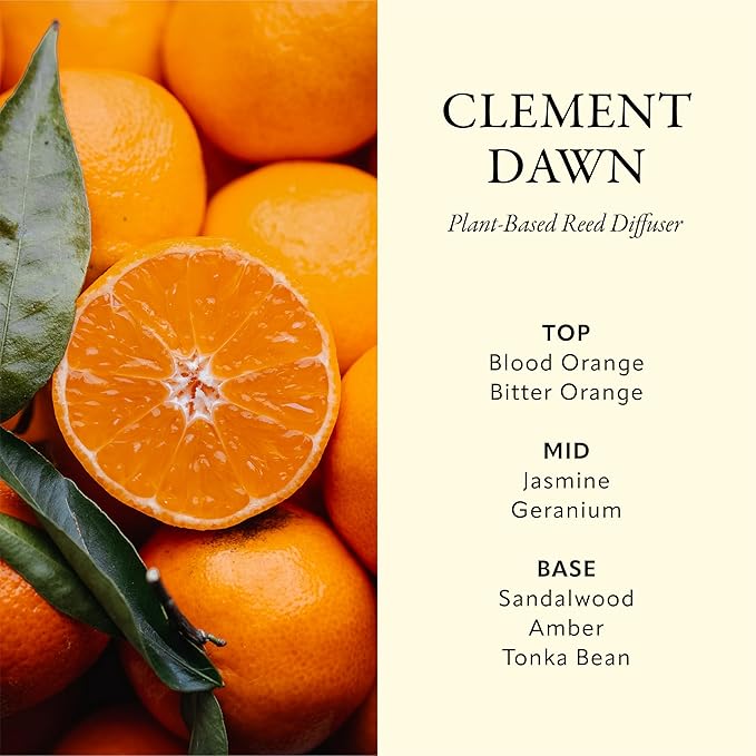 Soréva Plant-Based Reed Diffuser Set, Bright Clementine and Fresh Citrus, Uplifting Aromatherapy for Mindfulness, Long Lasting, Alcohol Free, 7 Sticks, 4.39 fl oz