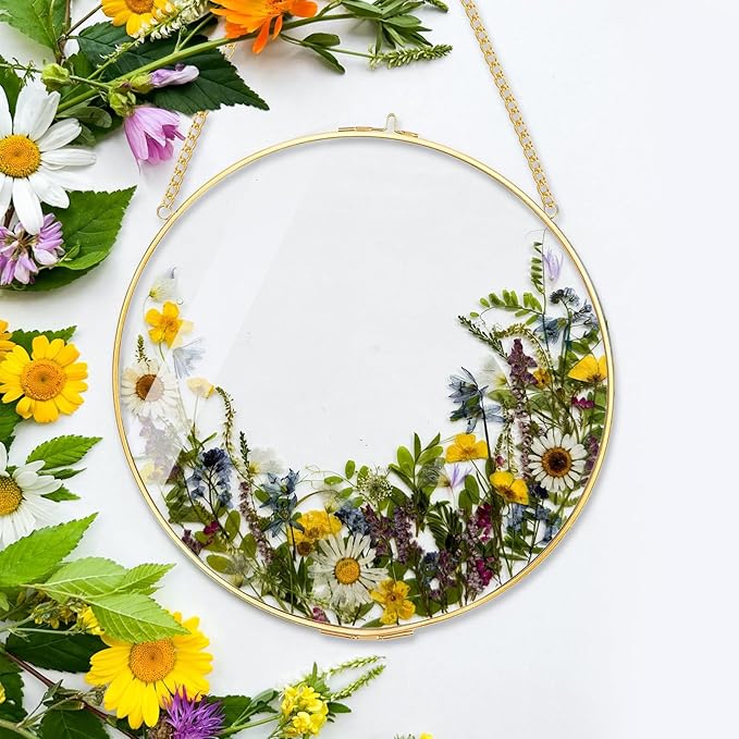 FOCHIER F Pressed Flower Frames with Tweezers, Wall Hanging Tabletop Display Double Glass Round Frames with Metal Chain for Pressed Dried Flowers Plants, Horizontal and Vertical Picture Frame, Golden