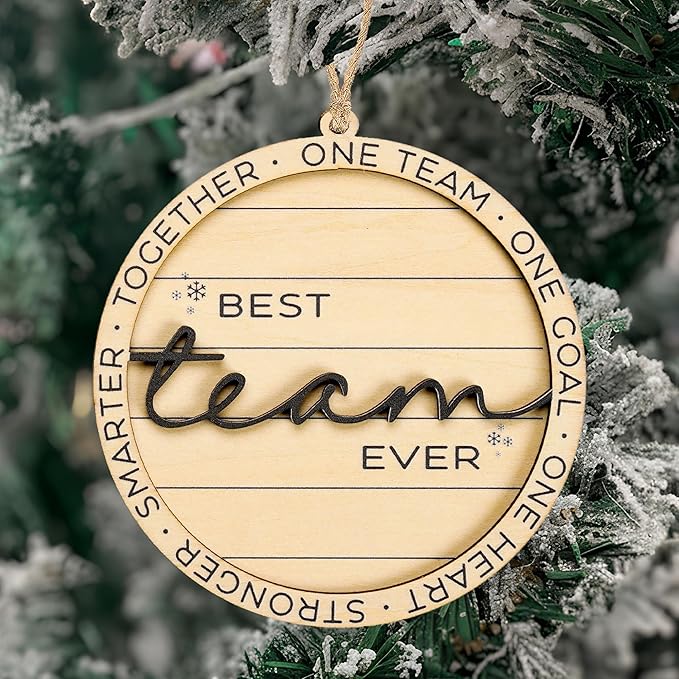 Best Team Ever Ornament Gifts, Team for Employees, Unique Work Ornament for Coworkers, Appreciation Gift for Office Staff - Inspirational Ornaments for Workplace Celebration
