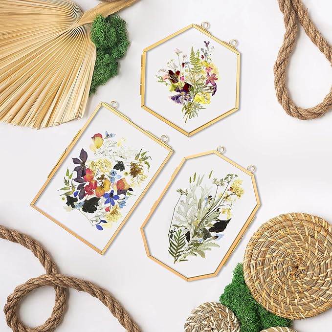 FOCHIER F 3 Pcs Pressed Flower Frames with Tweezers, Wall Hanging Double Glass Frames with Metal Chain for Pressed Dried Flowers Plants, Golden