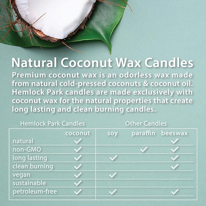 Hemlock Park Crackling Wood Wick Candle Handcrafted with Natural Coconut Wax (Standard 8 oz, Palo Santo)