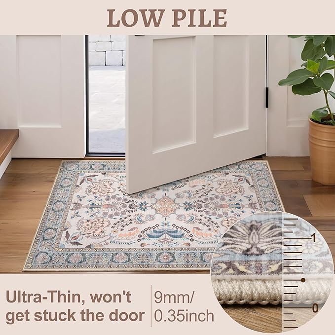 Tangsoo 2x3 Small Rug for Entryway, Washable Area Entry Rug Non Slip, Persian Neutral Low Pile Soft Area Rugs, Indoor Front Door Boho Floral Throw Rugs for Entrance Kitchen Bedroom Bathroom Home Decor