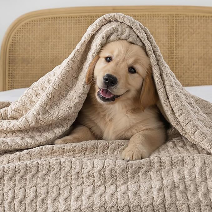 WDCOZY Cable Knit Throw Blanket – Super Soft, Warm & Lightweight Knitted Jacquard Throw Blanket for Couch, Sofa, Bed, Chair, Cozy Texture Farmhouse Decorative Home Blanket, Beige 60x80 inches