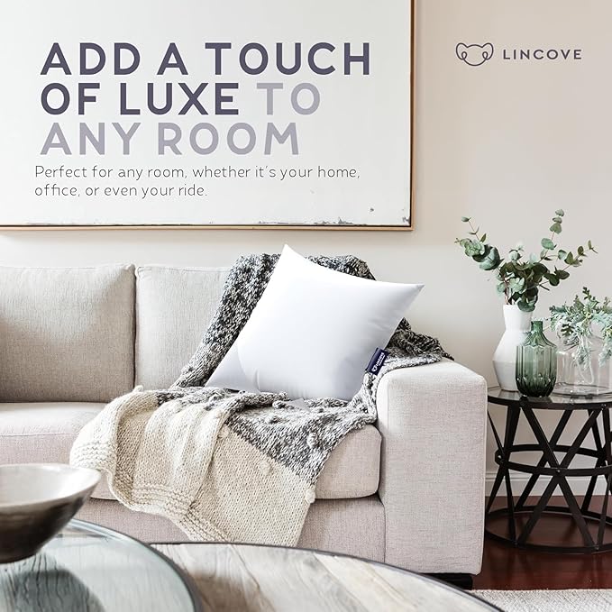 Lincove Euro Throw Pillow Insert Square 17"x17" Pillow – Made in Canada, 100% Cotton Shell, Down Alternative Filling, Vegan-Friendly, Hypoallergenic - Decorative Couch Pillows, 1 Pack