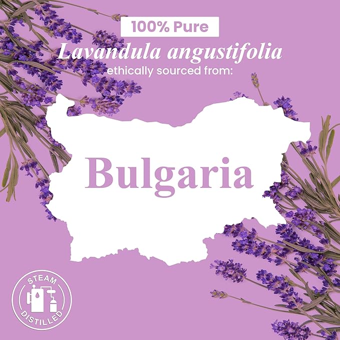 Handcraft Blends Lavender Angustifolia Essential Oil Gift Set – Huge 4 Fl Oz – 100% Pure & Natural – Premium Grade Essential Oil for Diffuser and Aromatherapy – Beautiful Gift Box Included