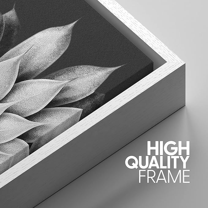 SIGNWIN Framed Canvas Print Wall Art Trio of Echevaria Succulents Floral Plants Photography Modern Art Minimalist Closeup Dramatic Black and White for Living Room, Bedroom, Office - 24"x36"x3 White