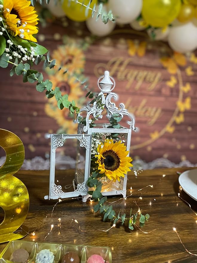 DECORKEY Large Candle Lantern, Decorative Hanging Lantern, Vintage Metal Tabletop Lantern for Outdoor Patio Rustic Home Decor, Candle Holders with Clear Glass (White)