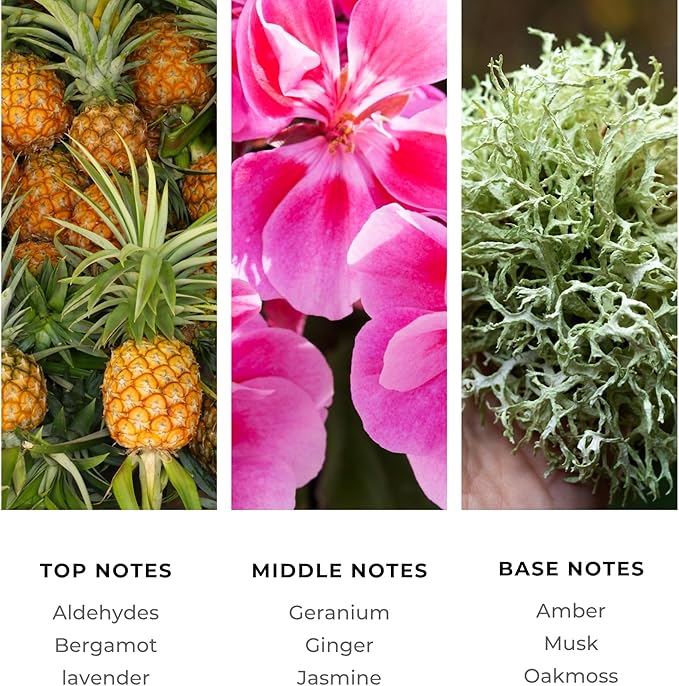 Brilliant Scents Opulent Seduction Fragrance Oil 200ml - Premium Diffuser Oil for Home, Office, Hotels - Long Lasting, Plant-Based, Meets IFRA Standards, USA-Made - Pineapple, Ginger, Oakmoss
