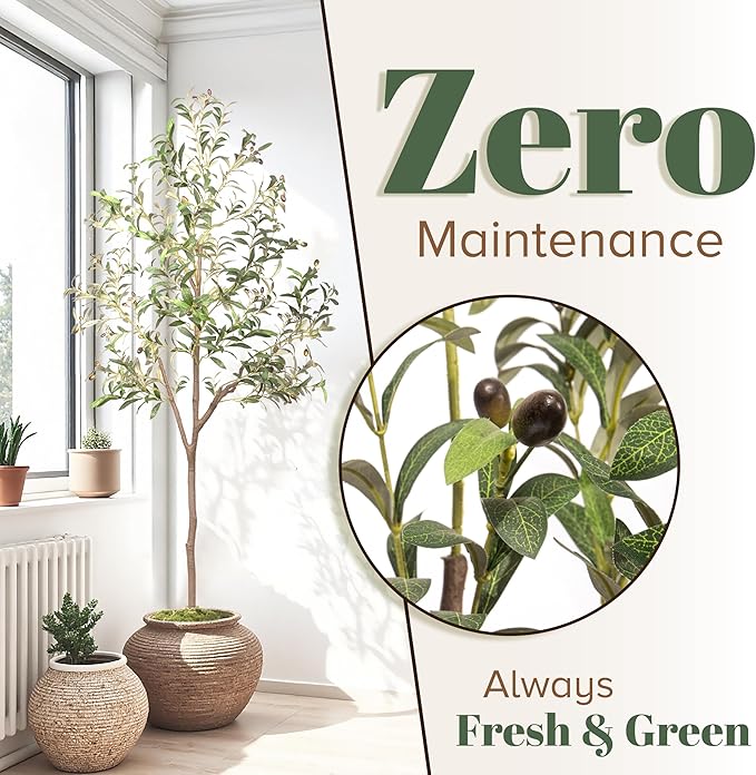 Olive Trees Artificial Indoor 6FT Tree with Rechargeable LED Spotlight, Decorative Moss & Weighted Pot – Tall Realistic Olive Plant for Home, Office, or Event Décor (6FT)