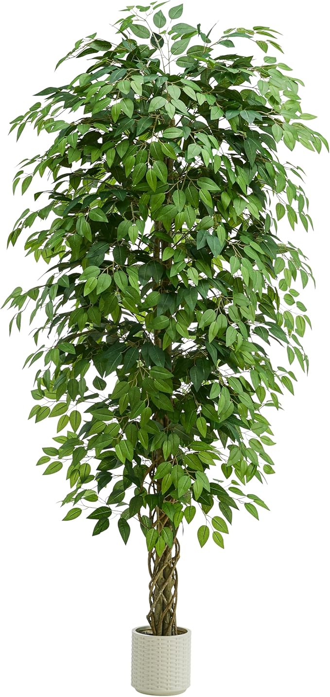 Artificial Ficus Tree,Black Pot (1, White, 7FT)