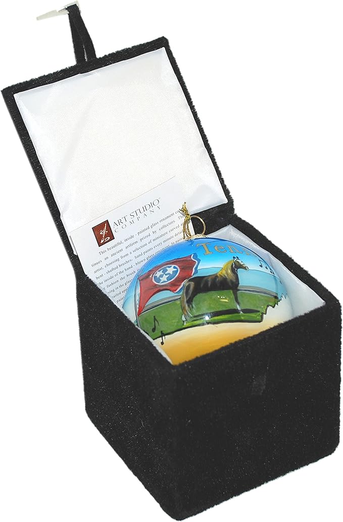Blown Glass Christmas Ornament | Tennessee State Images | Hand Painted Inside | Original Art | Includes Gift Box