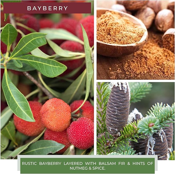 A Cheerful Giver — Bayberry - 22oz Mama Scented Candle Jar with Lid - Keepers of the Light - 125 Hours of Burn Time, Gift for Women, Green