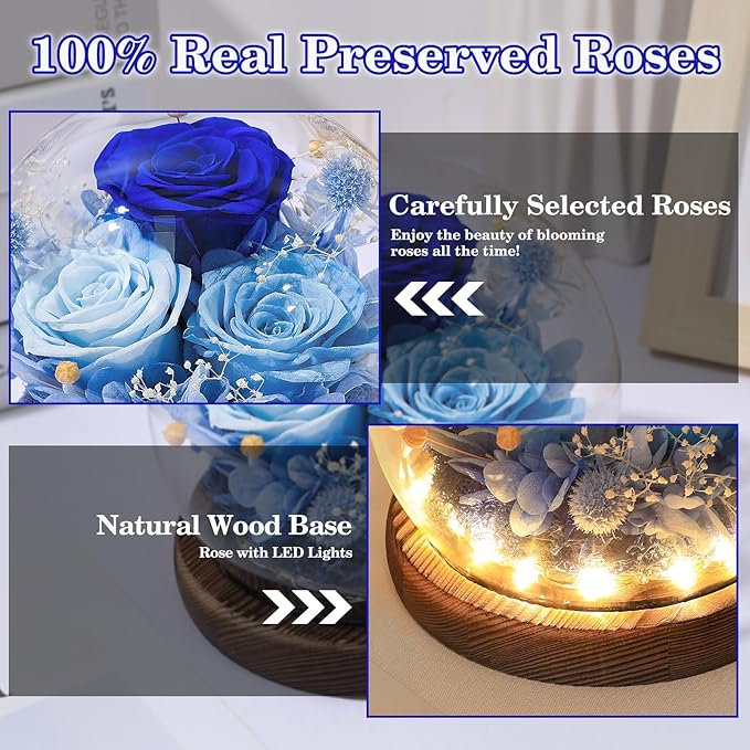 FIACO Valentines Gifts for Her Preserved Flowers in Glass Dome Long-Lasting Eternal Roses Birthday Gifts for Women Mom Grandma Wife Girlfriend Blue Forever Flowers for Delivery Prime
