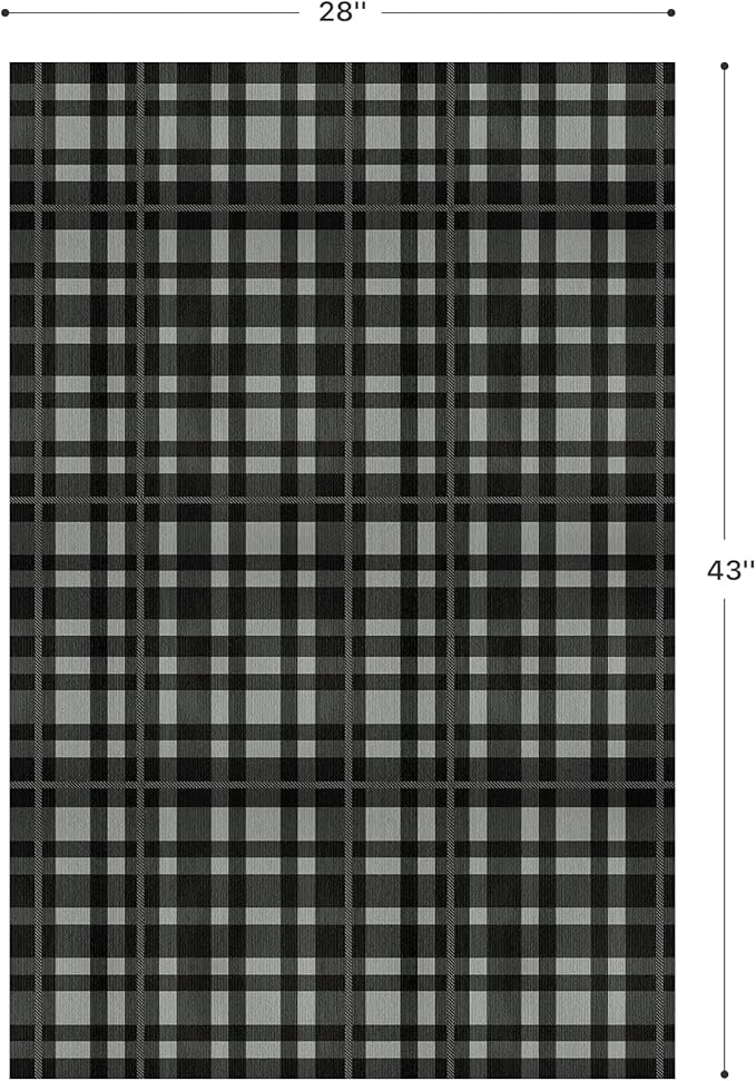 GENIMO Checkered Rug 27.5x43 inches Black and White Fine Plaid Outdoor Rug Buffalo Plaid Rugs Mat Fall Doormats Washable Rug for Front Porch Decor Indoor Entrance Patio Balcony Entryway