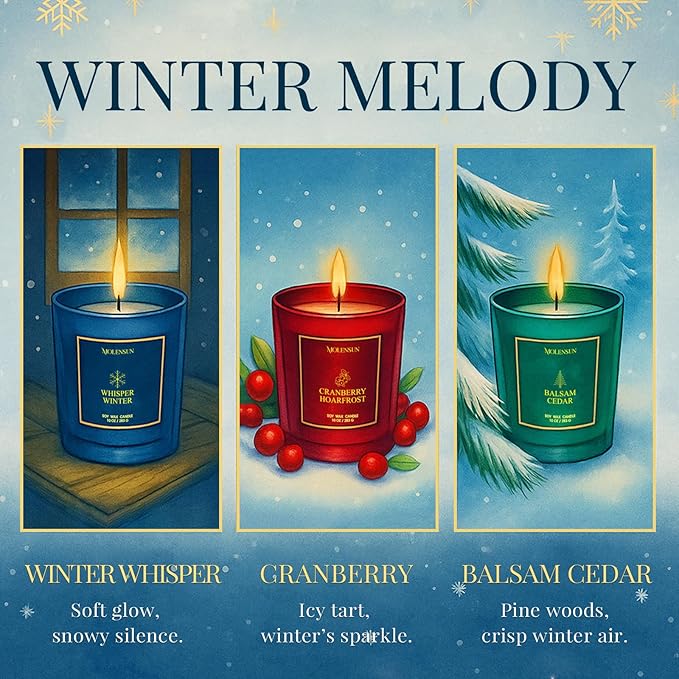 Cranberry Hoarfrost Candle, 10oz Soy Scented Candle for Home, Christmas Birthday & Holiday Gifts for Women & Men, Long Lasting 50+ Hour Clean Non-Toxic Burn, Elegant Winter & Christmas Home Decor
