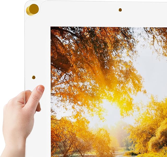 ArtToFrames 20x20 Inch Magnetic Acrylic Frame with Gold Standoffs for Wall Mounting and Removable Acrylic Front, Full Frame Size is 24x24 Inches (AcrylicMagnet-109-20x20-81-1)