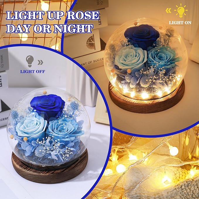 FIACO Valentines Gifts for Her Preserved Flowers in Glass Dome Long-Lasting Eternal Roses Birthday Gifts for Women Mom Grandma Wife Girlfriend Blue Forever Flowers for Delivery Prime