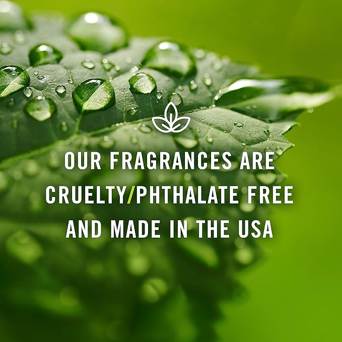 P&J Trading Fragrance Oil | Patchouli Oil 30ml - Candle Scents for Candle Making, Freshie Scents, Soap Making Supplies, Diffuser Oil Scents