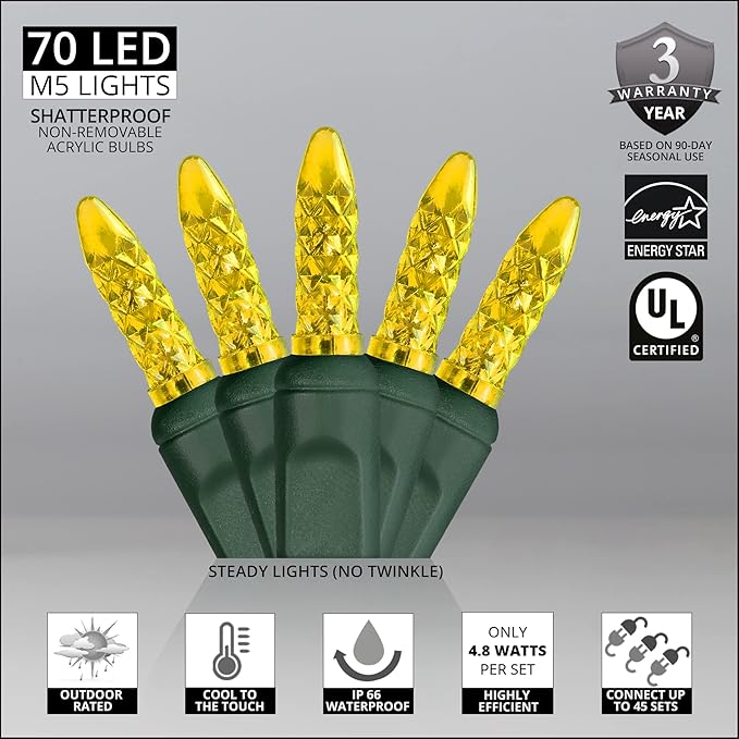 Wintergreen Lighting 24 ft 70 Count M5 Faceted Gold LED Christmas Lights, Green Wire Indoor/Outdoor Commercial Grade Mini String for Holiday Decor