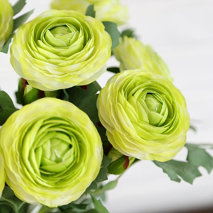 Artificial Ranunculus Flowers with Real Touch Stem, Silk Ranunculus Flowers (Green, 10pcs)