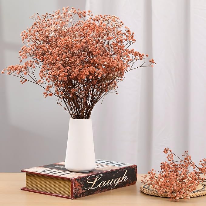 Babys Breath Dried Flowers Bouquet-17'' 3200+ Ivory Dry Flowers, Natural Gypsophila Branches for Wedding, Home Table Vase Decor, DIY Wreath Floral, Fall Thanksgiving Autumn Decoration (Brown, 3.5oz)