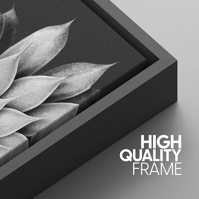SIGNWIN Framed Canvas Print Wall Art Trio of Echevaria Succulents Floral Plants Photography Modern Art Minimalist Closeup Dramatic Black and White for Living Room, Bedroom, Office - 24"x36"x3 Black