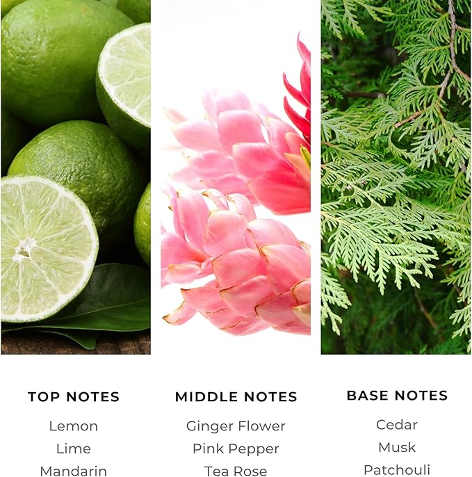 Brilliant Scents Golden Serenity Fragrance Oil 200ml - Premium Diffuser Oil for Home, Office, Hotels - Long Lasting, Plant-Based, Meets IFRA Standards, USA-Made - Mandarin, Tea Rose, Musk