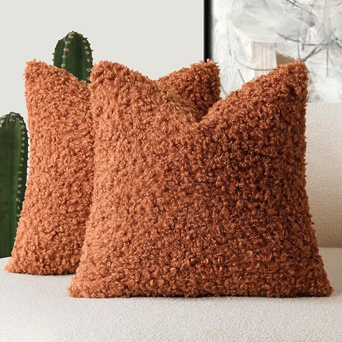Foindtower 2 Pieces 20x20 Inch Burnt Orange, Faux Fur Throw Pillow Cover Accent Sherpa Furry Pillow Cover Fuzzy Soft Pillowcases Cozy Sheepskin Decorative Fleece Cushion Case for Bed Couch Living Room