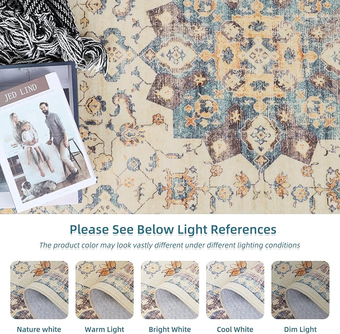 Dripex Vintage Collection Washable Area Rug - 2x3 Door Mat Small Entryway Rug Distressed Non-Slip Low-Pile Floor Carpet for Indoor Front Entrance Kitchen Bathroom Living Room Bedroom
