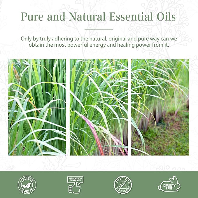 PHATOIL 100ML Lemongrass Essential Oil, 3.38FL.OZ Essential Oils for Diffuser, Humidifier, Relax, Aromatherapy, Lemongrass Oil Scented Oils for Soap, Candle Making