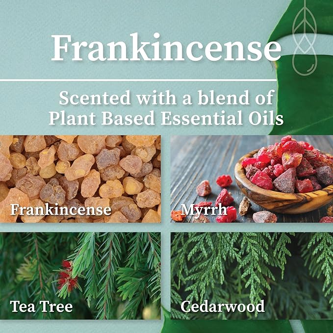 Hemlock Park Crackling Wood Wick Candle Handcrafted with Natural Coconut Wax (Large 16 oz, Frankincense)