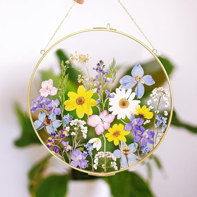FOCHIER F Pressed Flower Frames with Tweezers, Wall Hanging Tabletop Display Double Glass Round Frames with Metal Chain for Pressed Dried Flowers Plants, Horizontal and Vertical Picture Frame, Golden